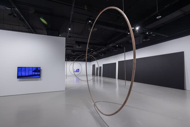 Maria Taniguchi: Afterimage